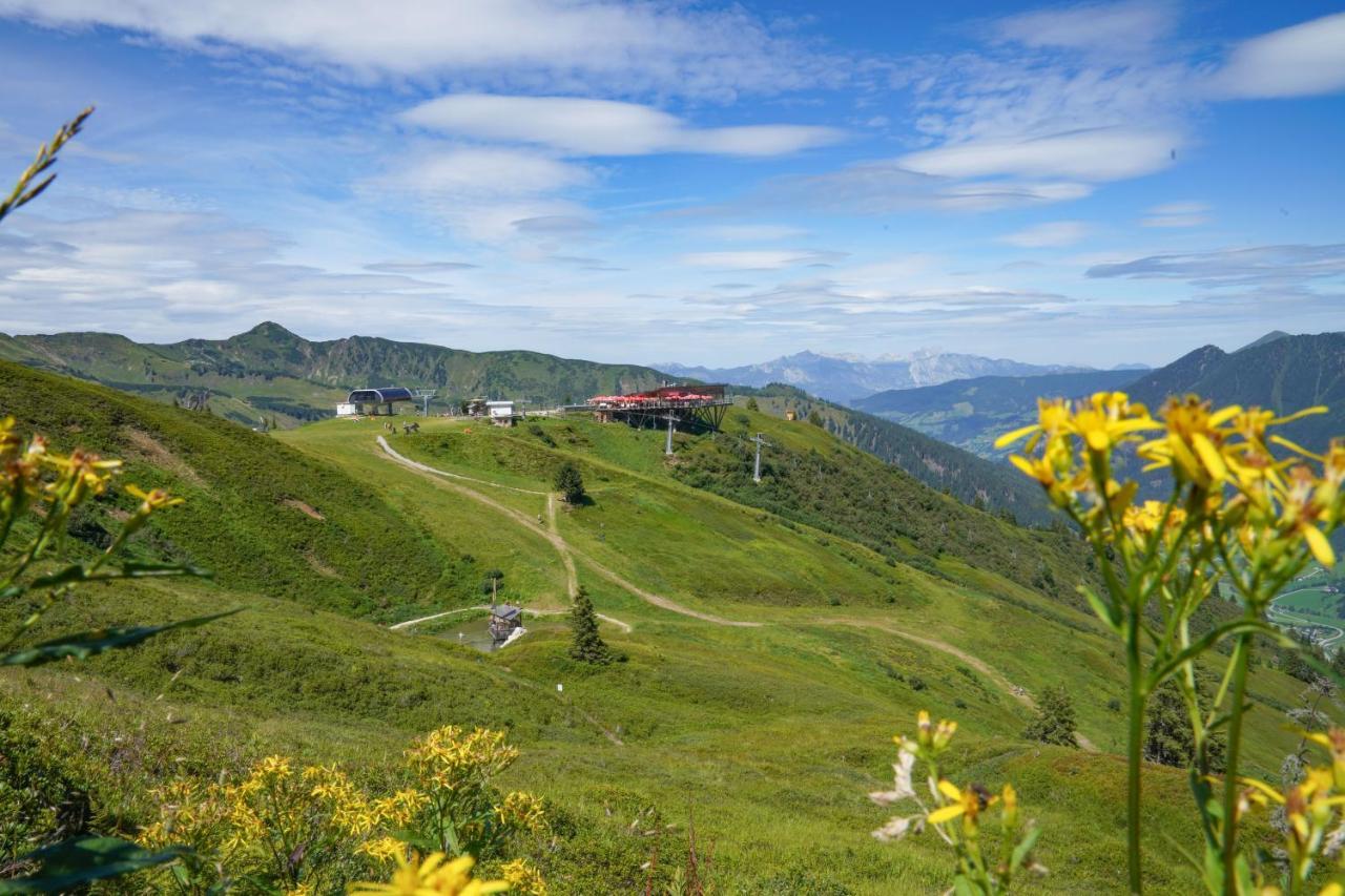 Die Kalsbergerin Ferienwohnung Fuer Geniesser Donnersbachwald Exteriér fotografie