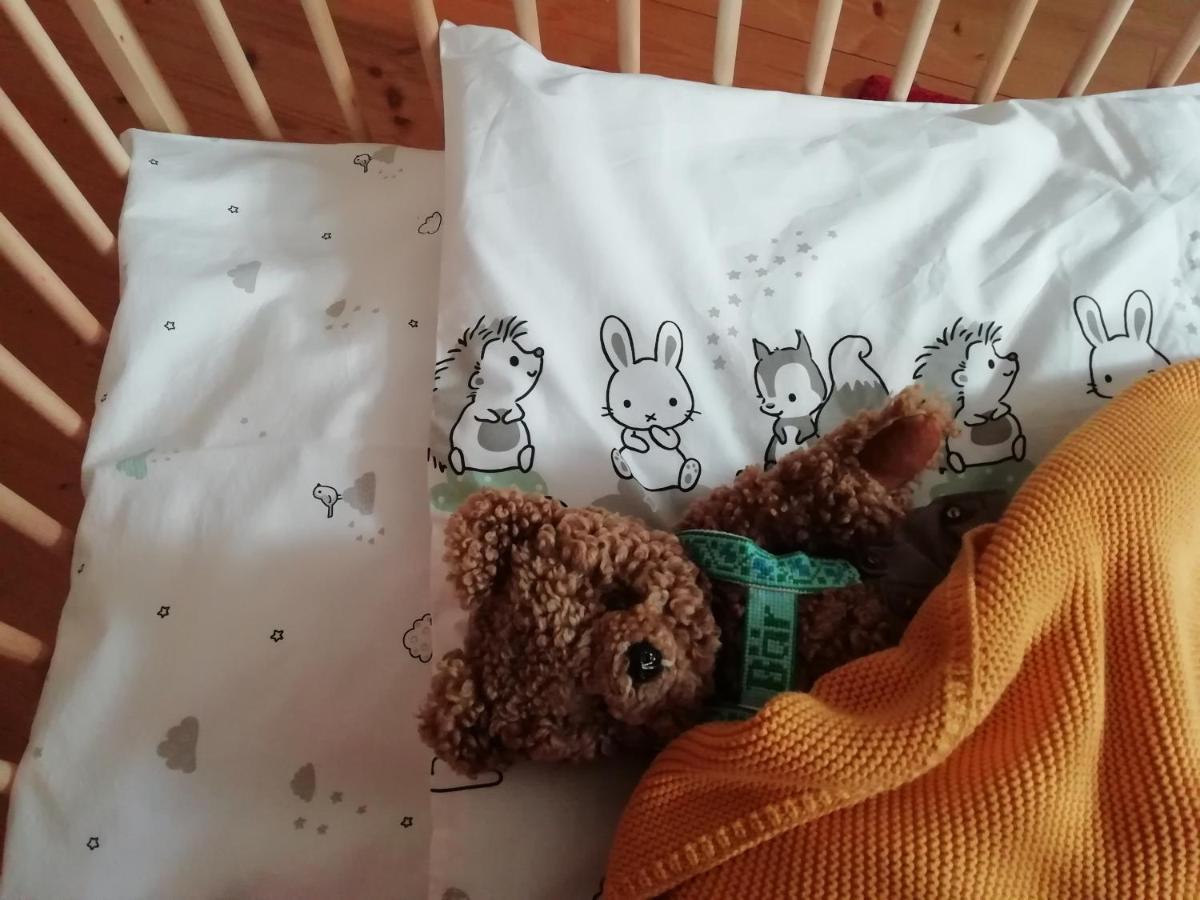 Die Kalsbergerin Ferienwohnung Fuer Geniesser Donnersbachwald Exteriér fotografie