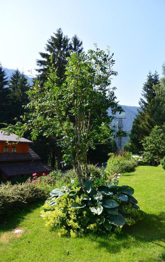 Die Kalsbergerin Ferienwohnung Fuer Geniesser Donnersbachwald Exteriér fotografie